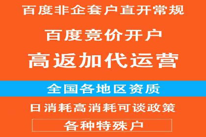 竞价托管SEM策略：提升网站流量与转化